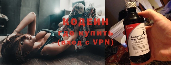 бошки Ладушкин
