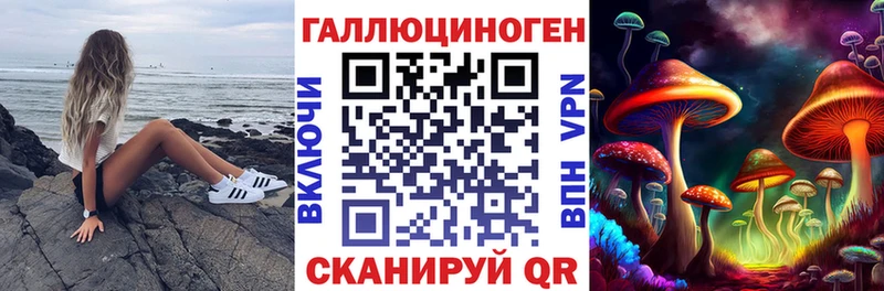 Псилоцибиновые грибы Psilocybe  Анжеро-Судженск 