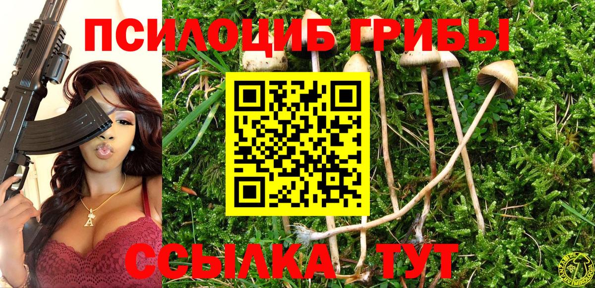 Анжеро-Судженск  Псилоцибиновые грибы Cubensis  наркошоп  Вход с VPN 