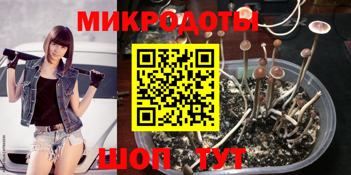 Анжеро-Судженск  Вход с VPN  Каннабис  ЭКСТАЗИ  ГАШИШ  ГАШИШ  Мефедрон   Бошки Шишки 