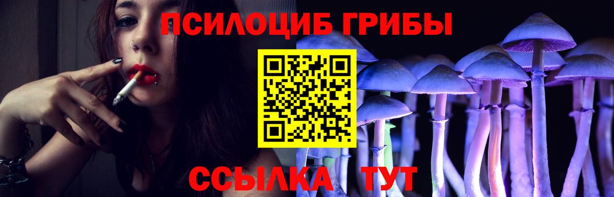 Псилоцибиновые грибы MAGIC MUSHROOMS Анжеро-Судженск