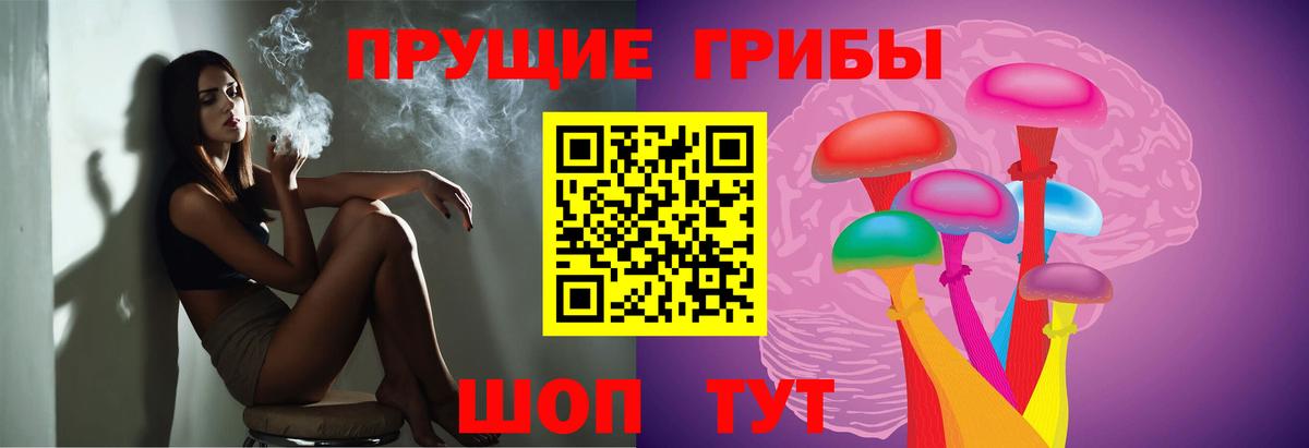 Галлюциногенные грибы Psilocybe Анжеро-Судженск