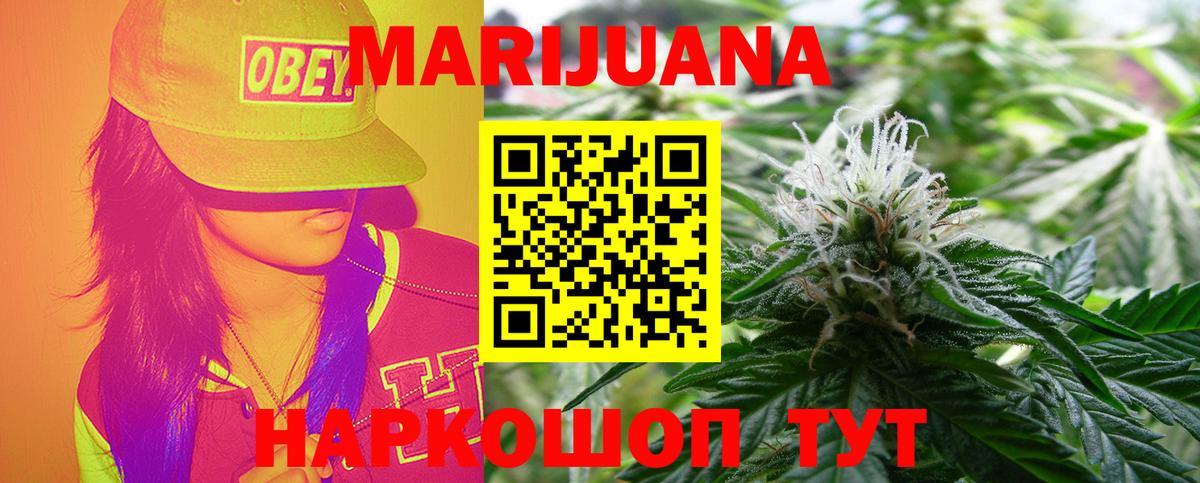 Конопля гибрид Анжеро-Судженск